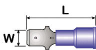 Sid.GIF (4900 bytes)
